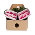 thumbnail image 5 of Member's Mark Garden Roses, 36 stems, Choose color variety, 5 of 6