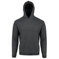 thumbnail image 1 of Peter Millar Pine Performance Hoodie, 1 of 3