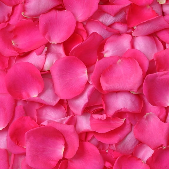 Member's Mark Fresh Rose Petals, 3000 ct., Choose color variety