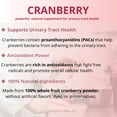 thumbnail image 4 of Member's Mark Clinical Strength Cranberry Capsules, 500 mg, 150 ct., 4 of 8