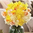 thumbnail image 5 of Member's Mark Daffodil Double Blend Dormant Bulbs, 30pk, 5 of 7