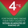 thumbnail image 7 of Member's Mark Nicotine Coated Gum, Choose your flavor, 300 ct., 7 of 10