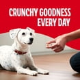 thumbnail image 6 of Milk-Bone MaroSnacks Dog Treats, 50 oz., 6 of 9