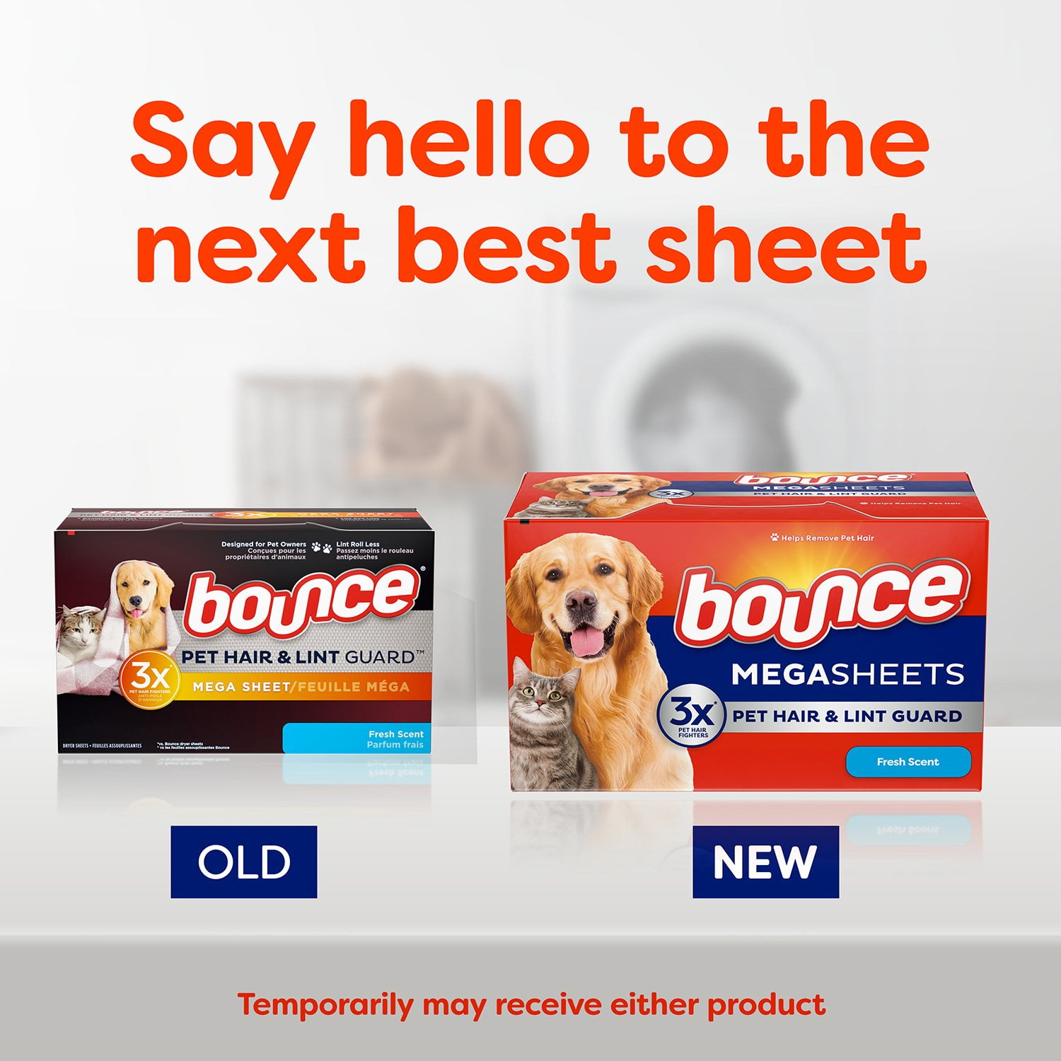 Buy Bounce Pet Hair Lint Guard Mega Sheets, Fresh Scent, 50 ct