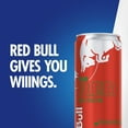 thumbnail image 4 of Red Bull Energy Drink, Watermelon 12 fl. oz., 24 pk., 4 of 11