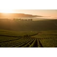 thumbnail image 5 of Dom Perignon Brut Champagne Wine, 750 ml, 5 of 8
