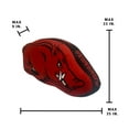 thumbnail image 4 of Logo Brands Arkansas Razorbacks XL Puff Pillow, 4 of 5