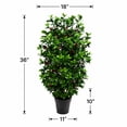 thumbnail image 6 of Artificial 3' Holly Berry Topiary in Black Grower's Pot, 6 of 6