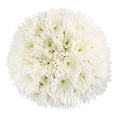 thumbnail image 1 of Member's Mark Spider Mums, choose color and stem count, 1 of 7
