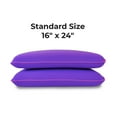 thumbnail image 5 of Imaginarium 2-Pack Memory Foam Fun Pillow with Cooling Cover, 5 of 8