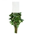 thumbnail image 9 of Member's Mark Ecuadorian Premium Roses, choose color variety and stem count, 9 of 9