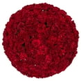 thumbnail image 1 of Member's Mark Mini Carnations, Choose color and stem count, 1 of 6