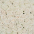 thumbnail image 3 of Member's Mark Ecuadorian Premium Roses, choose color variety and stem count, 3 of 8