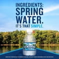 thumbnail image 3 of Ice Mountain 100% Natural Spring Water 8 fl. oz., 48 pk., 3 of 10
