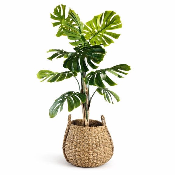 Artificial 5.5' Split Leaf Plant in a Neutral Handwoven Handled Basket