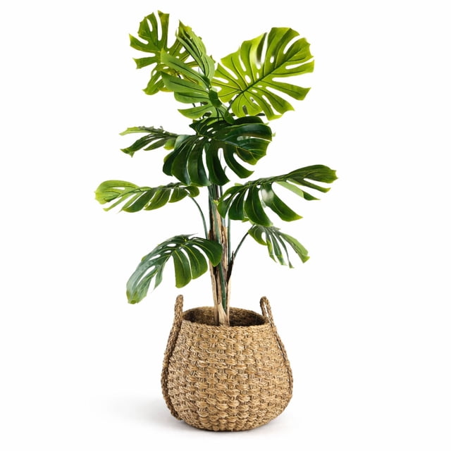 Artificial 5.5' Split Leaf Plant in a Neutral Handwoven Handled Basket