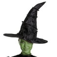 thumbnail image 4 of Universal Pictures Wicked Elphaba Adult Prestige Gown Costume, 4 of 9