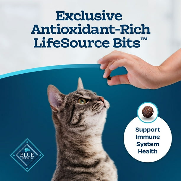 Blue Buffalo Tastefuls Chicken & Brown Rice Adult Indoor Dry Cat Food, 22  lbs. - Samsclub.com
