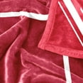 thumbnail image 6 of Logo Brands Arkansas Razorbacks 60"x70" Super Plush Blanket, 6 of 6