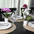 thumbnail image 3 of Live White Mini Orchids in Ceramic Pot, 12 Pack, 3 of 6