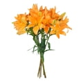thumbnail image 2 of Member's Mark LA Hybrid Lilies, choose color and stem count, 2 of 8