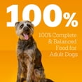 thumbnail image 5 of Pedigree Choice Cuts in Gravy Country Stew Chicken Variety Adult Wet Dog Food, 13.2 oz., 36 ct., 5 of 5