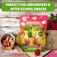 thumbnail image 5 of BranchOut Crunchy Fruit Chips with Strawberry, Apple, Banana & Pineapple, No Added Sugar, 7 oz., 5 of 5