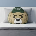 thumbnail image 2 of Logo Brands Colorado State Rams Puff Pillow, 2 of 5