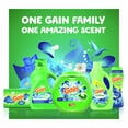 thumbnail image 5 of Gain Flings! Liquid Laundry Detergent Pacs, Blissful Breeze Scent (152 ct.), 5 of 8