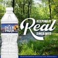 thumbnail image 3 of Deer Park 100% Natural Spring Water 16.9 fl. oz., 40 pk., 3 of 10
