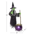 thumbnail image 6 of Member's Mark 6.5' Pre-Lit Animated Floating Witch, 6 of 6