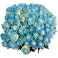 thumbnail image 6 of Member's Mark Illusion Roses, 96 stems, Choose color variety, 6 of 7