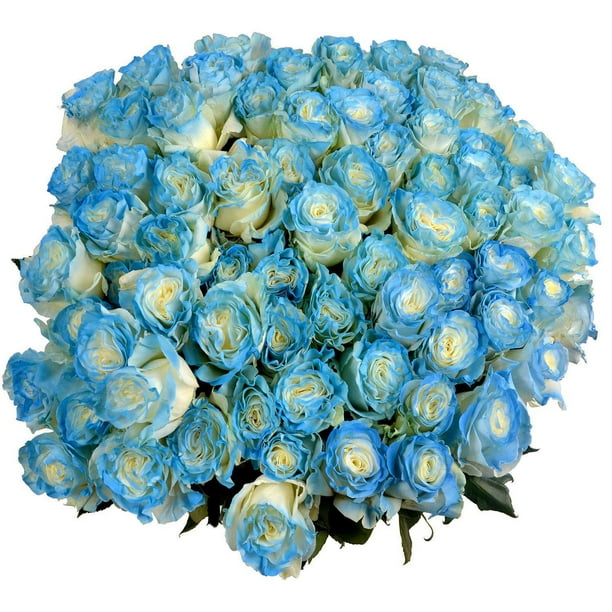 Member's Mark Illusion Roses, 96 stems, Choose color variety