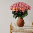thumbnail image 3 of Member's Mark Farm Fresh Velvet Roses, choose color and stem count, 3 of 9