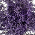 thumbnail image 2 of Member's Mark Limonium, 15 bunches, Choose color, 2 of 2