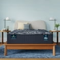 thumbnail image 1 of Serta Perfect Sleeper X Excelled Hybrid Mattress, 1 of 11