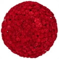 thumbnail image 1 of Member's Mark Mini Carnations, Choose color and stem count, 1 of 5