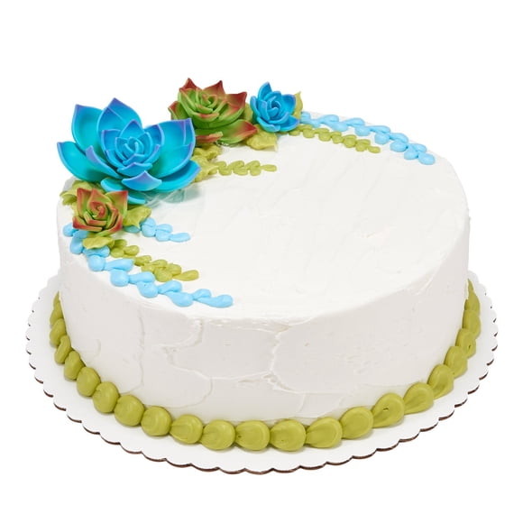 Member's Mark Succulents with Texture 10" Round Double Layer Cake