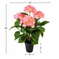 thumbnail image 6 of Artificial 36" Hydrangea Bush in Black Grower's Pot, Assorted Colors, 6 of 6
