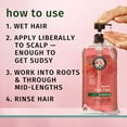thumbnail image 2 of Herbal Essences Rose Hips Shampoo and Conditioner, 33.8 fl. oz., 2pk., 2 of 9