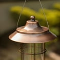 thumbnail image 4 of Member's Mark Copper Antique Bird Feeder, 4 of 5