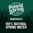 thumbnail image 7 of Poland Spring Brand 100% Natural Spring Water 5 gallon, 7 of 7