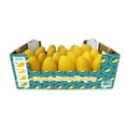 thumbnail image 1 of Fruitbreeze Organic Honey Mangoes, 8 lbs., 1 of 5