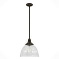 thumbnail image 2 of Hunter Cypress Grove with Clear Holophane Glass 1 Light Pendant Ceiling Light Fixture, 2 of 8