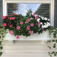 thumbnail image 3 of Mayne Nantucket Window Box, Choose Size, 3 of 10