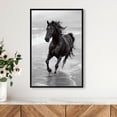 thumbnail image 3 of Graceful Horse Black and White Canvas Print by Oliver Gal Prints, 3 of 4