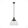 thumbnail image 2 of Hunter Cypress Grove with Clear Holophane Glass 1 Light Pendant Ceiling Light Fixture, 2 of 8