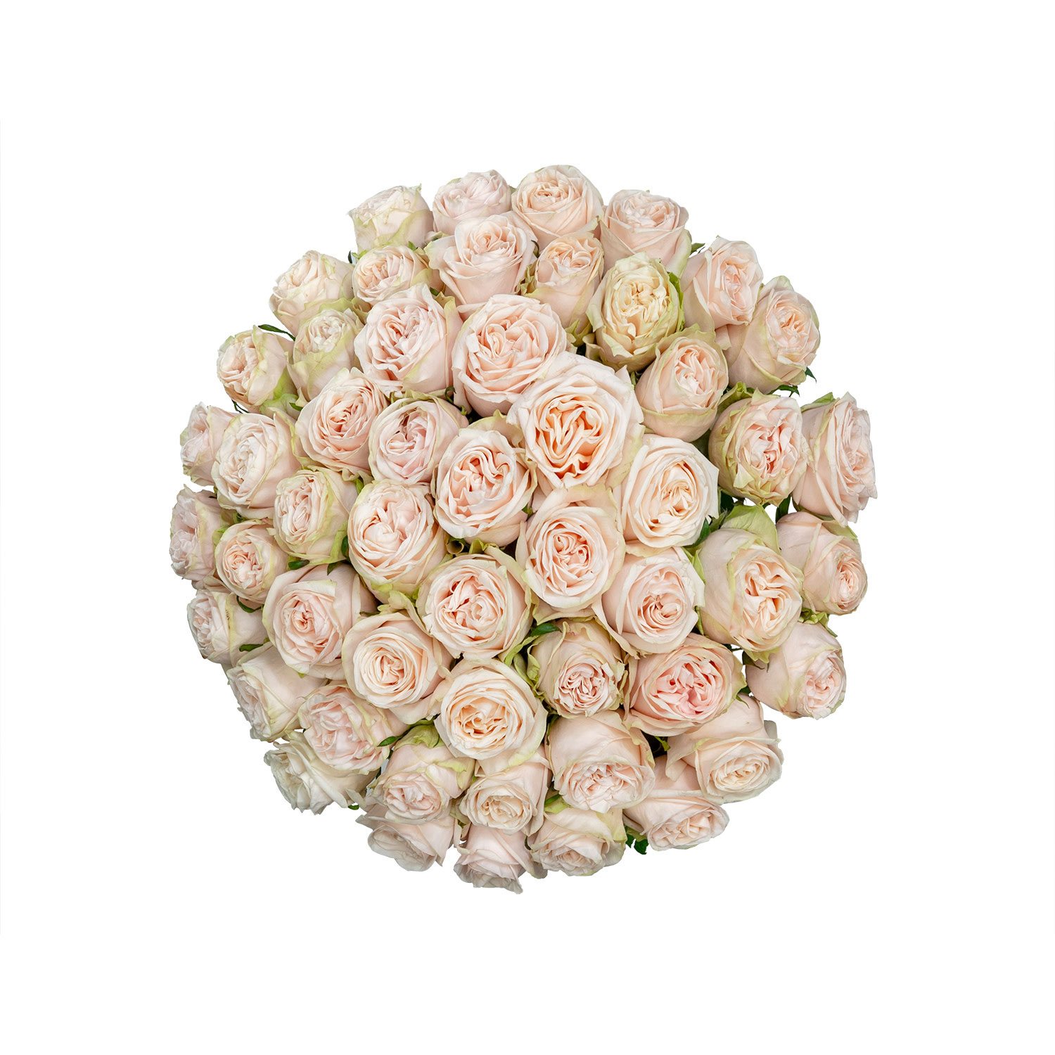 Member's Mark Ecuadorian Premium Roses, choose color variety and stem ...