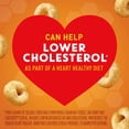 thumbnail image 5 of Honey Nut Cheerios Cereal, 48 oz., 5 of 7