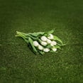 thumbnail image 3 of Member's Mark Tulips, 50 stems, 3 of 3